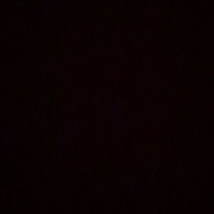 Meet your Posher, Annie